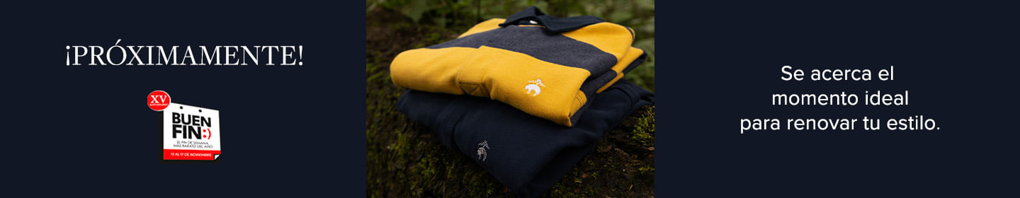 Buen Fin 2025