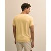 MP01372_YELLOW_3