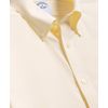 100231582_YELLOW_2