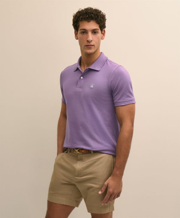 MP01322_GRAPE