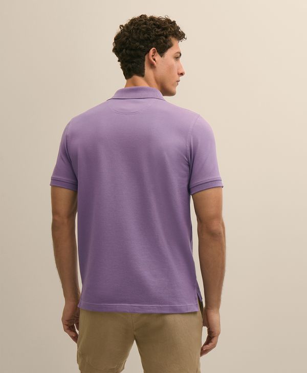 MP01322_GRAPE_6